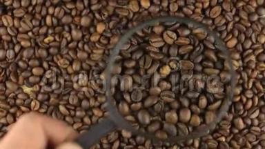 检查使用放大镜旋转咖啡豆。